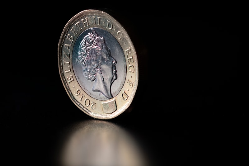 Ark Coin Nedir Ark Coin Nedir