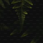 Bedenin İngilizcesi Nedir