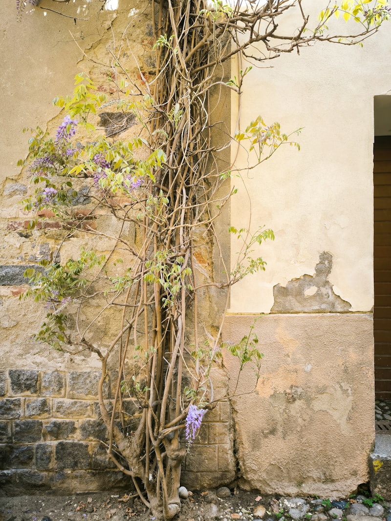 Bi Profenid 150 Nedir