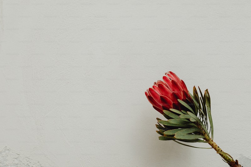 Biteral İlaç Nedir