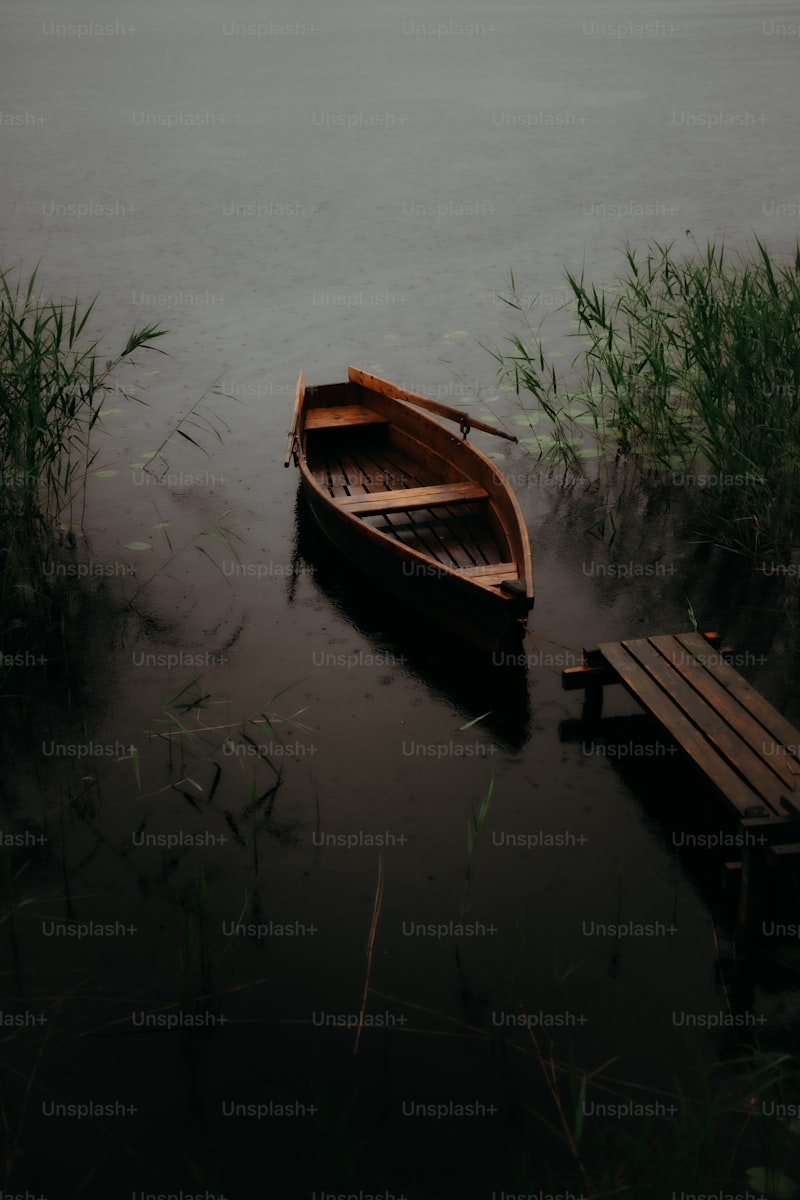 Debridat Fort Nedir Ne İşe Yarar