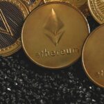 Dego Coin Nedir