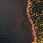 Desal Nedir Ne İşe Yarar