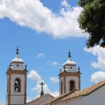 Dulester 60 Mg Nedir