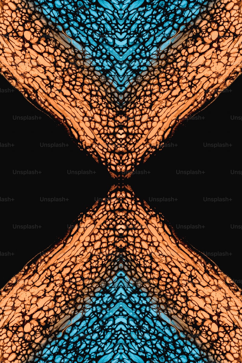 Enfexia Nedir Enfexia Nedir