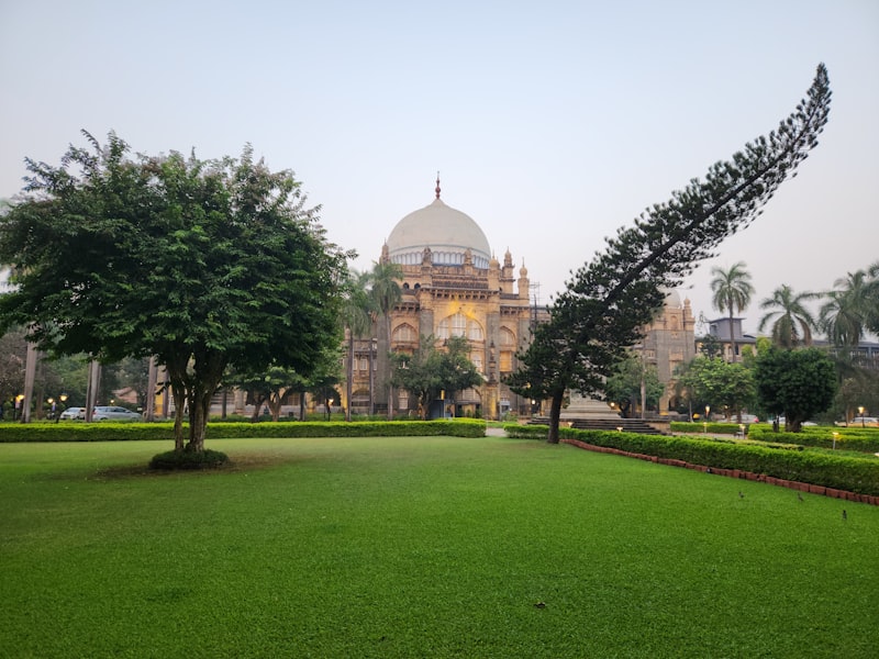 Etol Fort 400 Mg Nedir