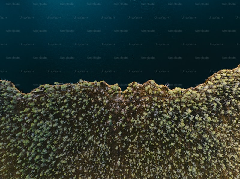 Gyno Lomexin Fitil Nedir Gyno Lomexin Fitil Nedir