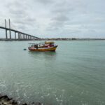 Hirudoid Forte Krem Nedir Ne İşe Yarar