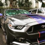 İbu Fort Şurup Nedir Ne İşe Yarar