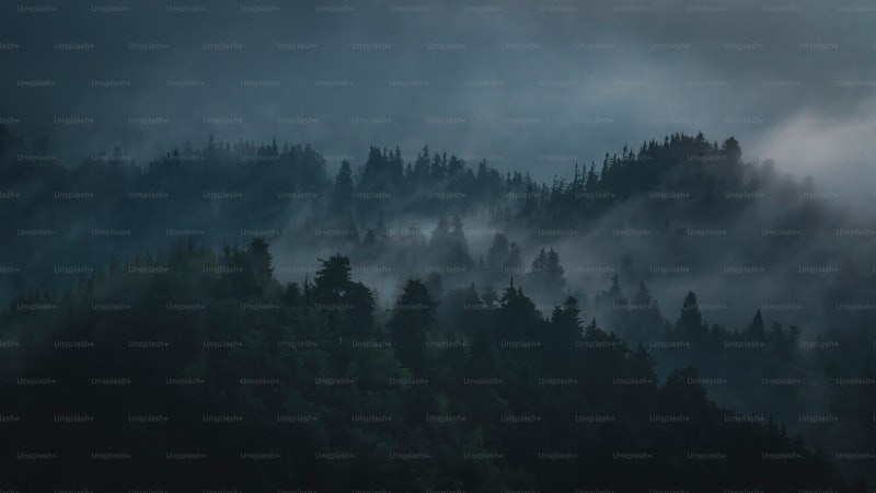 Kalidren İlacı Nedir