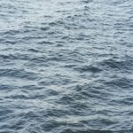 Kwellada Losyon Nedir