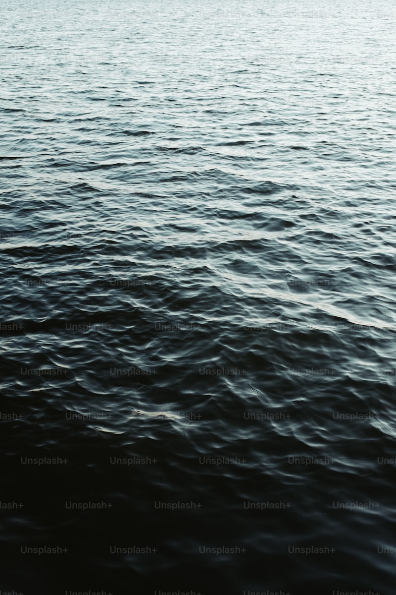 Kwellada Losyon Nedir Kwellada Losyon Nedir