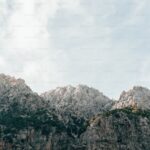 Magosit İlaç Nedir