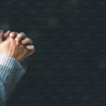 Modet Nedir Ne İşe Yarar