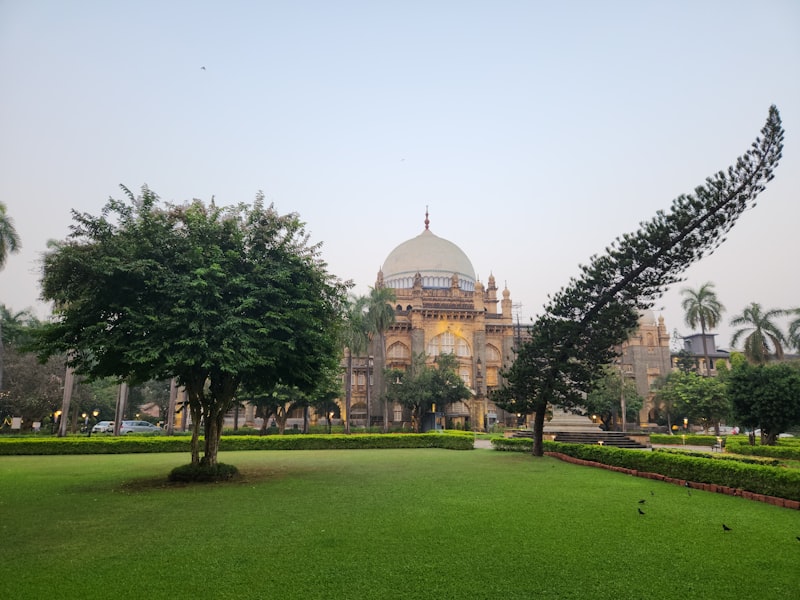 Sefal Fort Nedir Ne İçin Kullanılır Sefal Fort Nedir Ne İçin Kullanılır