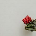 Spasmomen Nedir Niçin Kullanılır