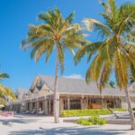 Zentius D Nedir Yan Etkileri